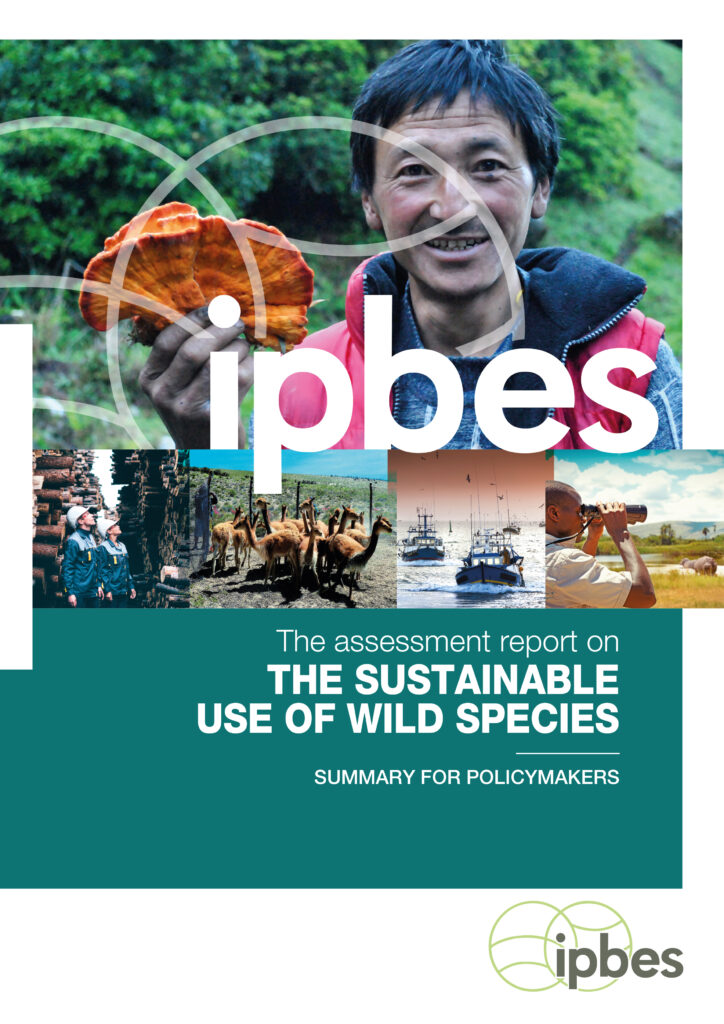 Forsiden af rapporten om bæredygtig udnyttelse af vilde arter