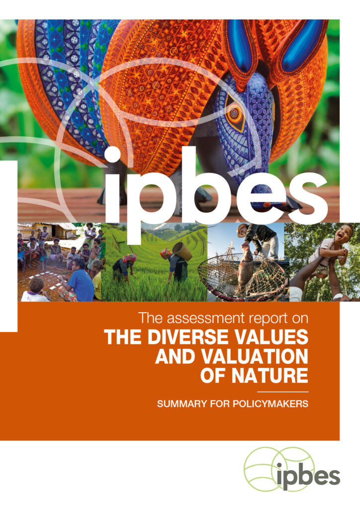 Forsiden af IPBES-rapporten "The Diverse Values and Valuation of Nature"